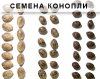 F61AA7B0-BA3C-4FE6-8716-EBF035BF569F.png