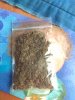 IMG_20190601_144624.jpg