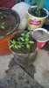 IMG_20190610_175013.jpg