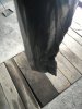 BF186975-BEF3-4FFE-95C2-2A8092ED388A.jpeg