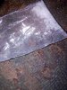 IMG_20190810_145635_392.jpg