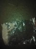 IMG_20190831_010733.jpg