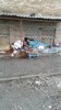 20191225_132115.jpg
