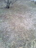 IMG_20191226_102504.jpg