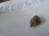 IMG_20200301_152634.jpg