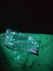 IMG_20200425_065135_675.jpg