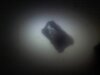 264336355_11134.jpg