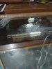 IMG_20200509_010651.jpg