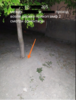 upload_2020-5-9_20-34-44.png