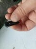 tmp-cam-1883178364.jpg