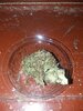 20200610_071547.jpg