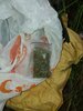 20200602_180036.jpg 20200602_180036.jpg