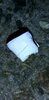 20200803_135436.jpg