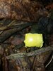 20201017_091645.jpg