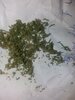 20201018_090942.jpg