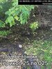 IMG_20201022_221540_038.jpg