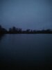 IMG_20201107_063454.jpg