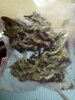 IMG_20201105_174243.jpg