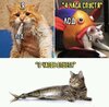 FB_IMG_16053631069998960.jpg