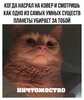 index.jpg