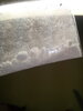 IMG_20201116_170207.jpg