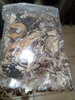IMG_20201217_221313.jpg