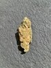 IMG_20201221_103928_899.jpg