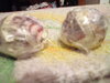 IMG_20210104_155033_0.jpg