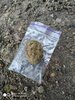 IMG_20210124_091030.jpg