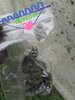 IMG_20210131_144403.jpg