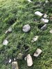 EE3674E4-09F8-4715-80B7-7146DE4C4788.jpeg