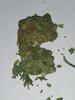IMG_20210502_145124.jpg