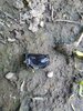 IMG_20210523_043128.jpg