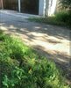 IMG_20210706_131449_135.jpg