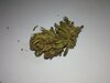 IMG_20220106_104827_173.jpg