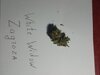 IMG_20220106_104824_475.jpg