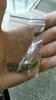 IMG_20220105_125506.jpg