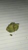 IMG_20220201_174818.jpg