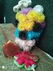 IMG_20220506_074019.jpg