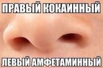 images.jpeg