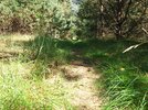 20220830_132000.jpg 20220830_132000.jpg