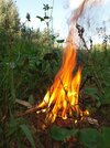 20220830_160258.jpg 20220830_160258.jpg