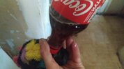 IMG_20220905_190941_734.jpg
