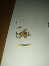 IMG_20230202_204912.jpg