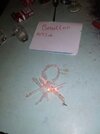 IMG_20230522_224229.jpg