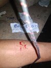 IMG_20230525_162601.jpg