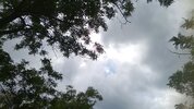 IMG_20230529_184601_345.jpg