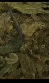Screenshot_2023-06-23-21-02-13.png