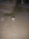 IMG_20230713_211612.jpg