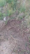 20230812_200914.jpg